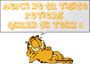 vasi les des com
